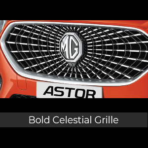 Bold-Celestial-Grille300x300