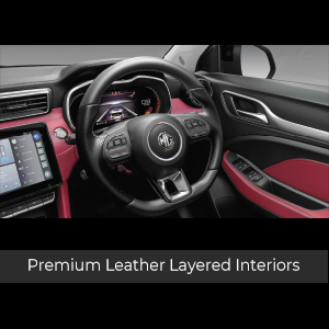 Premium-Leather-Layered-Interiors300x300