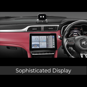 Sophisticated-Display-300x300