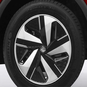 MG-Zs-Ev-6EXT-300x300