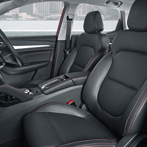 MG-Zs-Ev-8INT-300x300